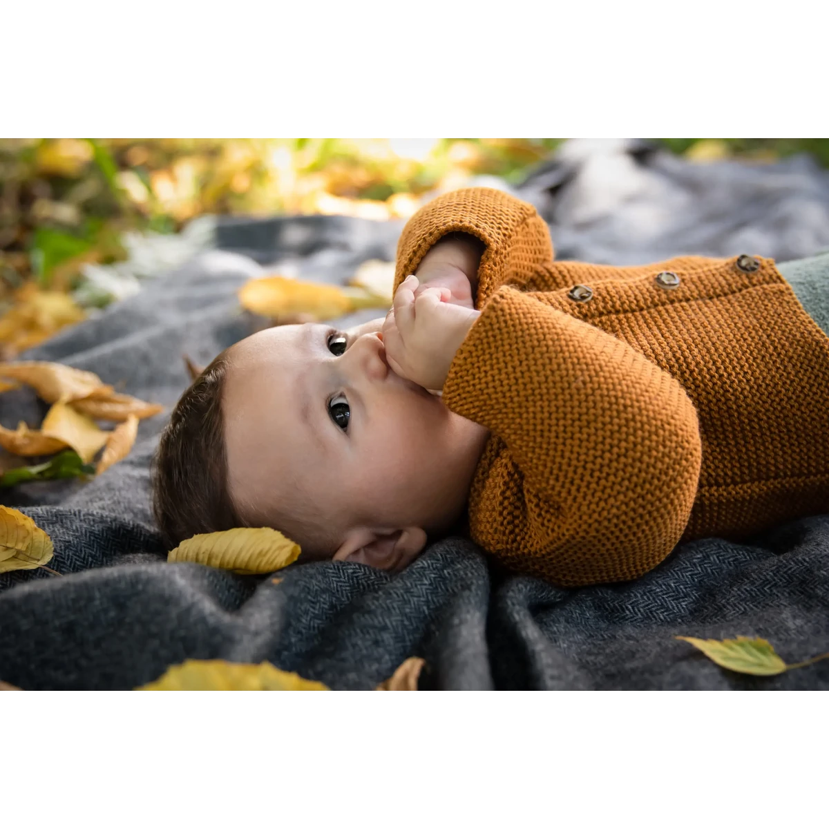Vest voor pasgeborenen en baby's gemaakt van 100% de beste merinowol - hert - het perfecte cadeau voor een geboorte