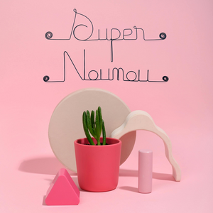Geschenk zum Schuljahresende „Super Nanny“