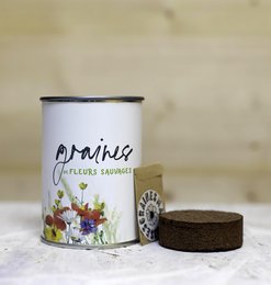 Wildblumensamen - weißes Sortiment