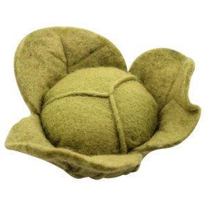 Gemüsekohl/Salat