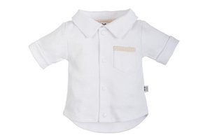 105 shirt Teddy