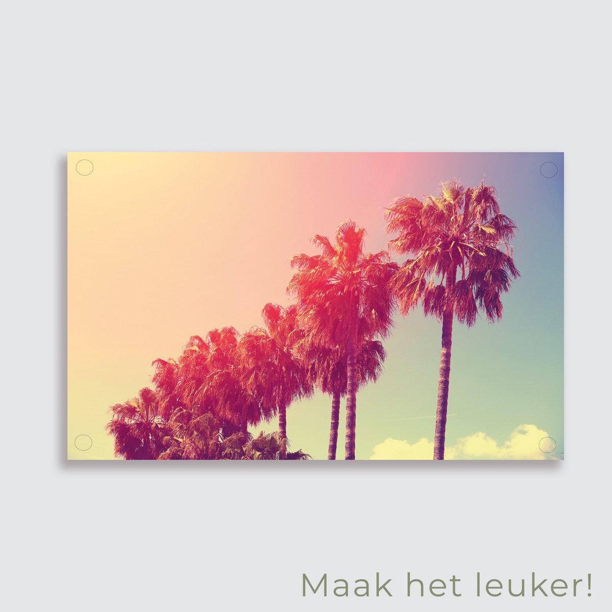 Haveplakat Palmer