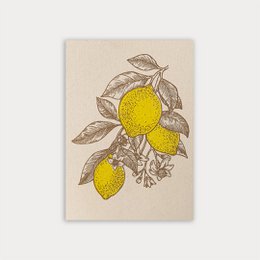 Postcard with an illustration of lemons on eco paper.
The image shows an illustration of lemons on a beige background. The lemons are depicted in a stylized, hand-drawn manner, with yellow centers and detailed leaves and branches surrounding them. The overall aesthetic suggests an eco-friendly or natural design, fitting the "eco paper" description provided in the product title.