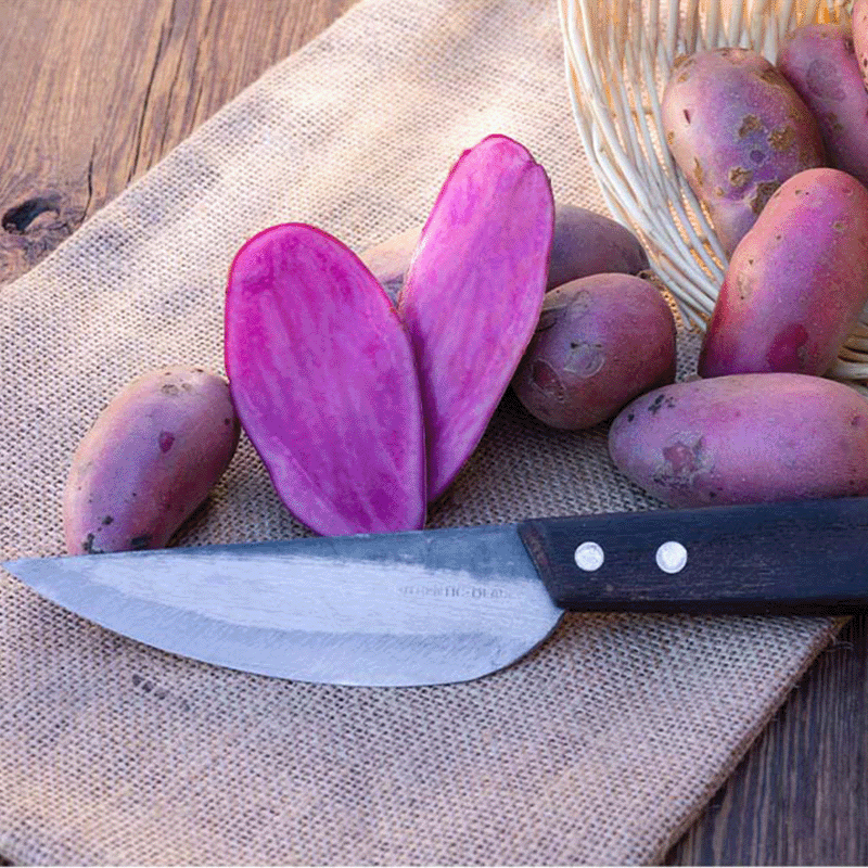 LAME AUTENTICHE VAY Coltello da cucina asiatico, lunghezza lama 12-20 cm