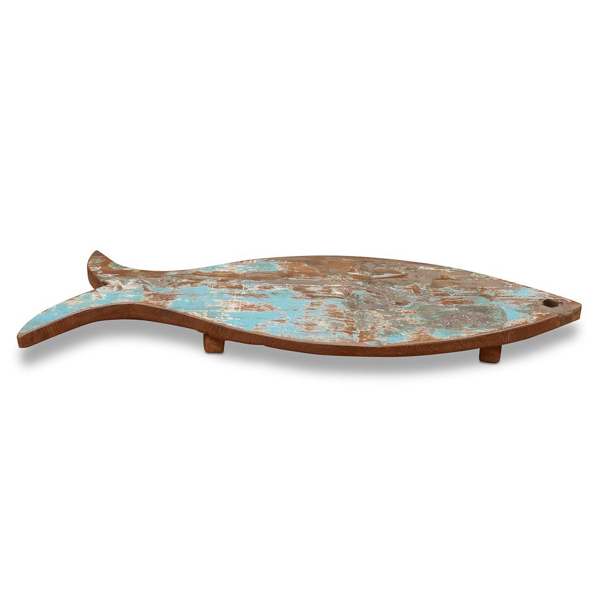coaster fish