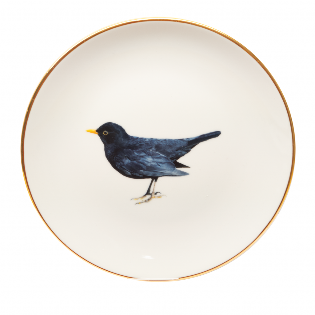 plate with blackbird with gold rim