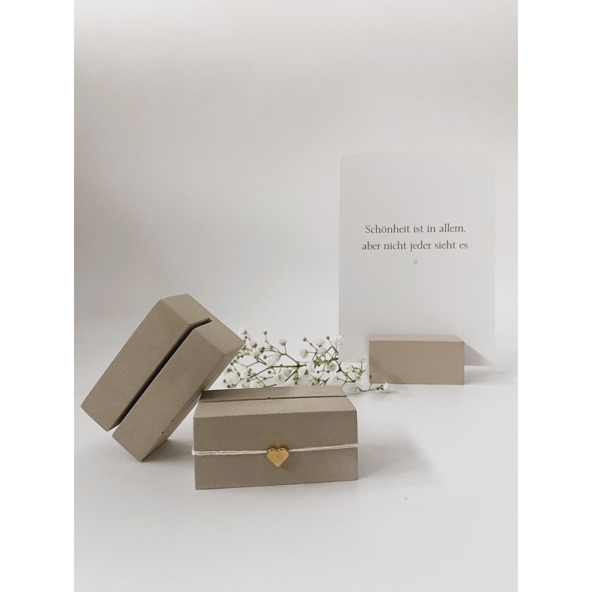 titolare della carta