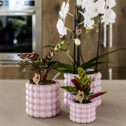 Kolibri Home | Poppy Sierpot - Pink - Ø9cm