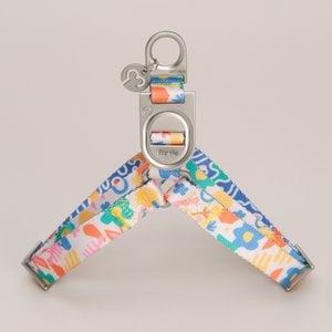 Fayette Harness