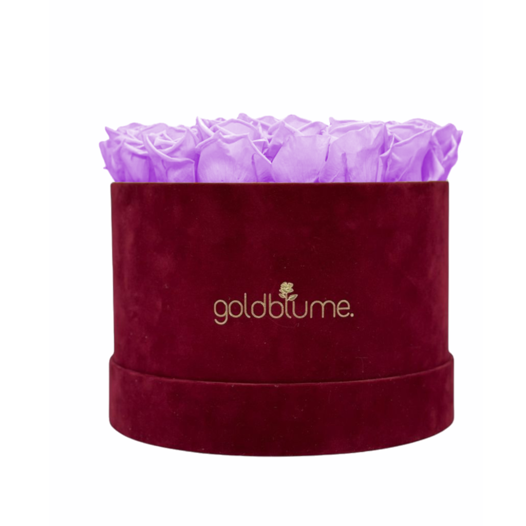Collection Velours Bordeaux