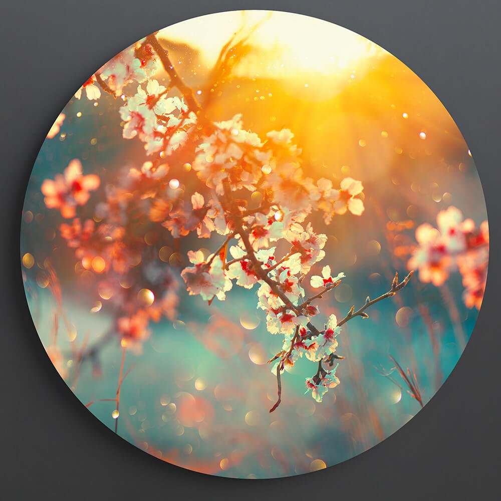Spring Blossom