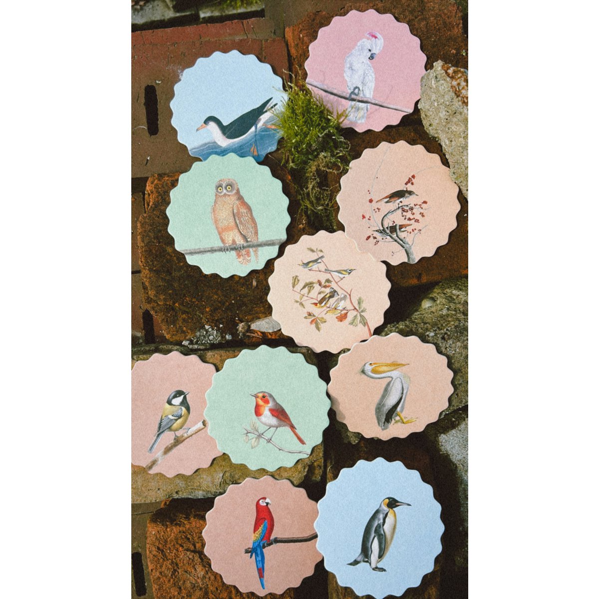 Posavasos/Posavasos 10 motivos pájaros - 12 juegos