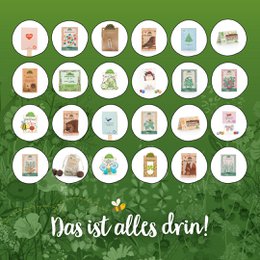 Stadtgärtner-Adventskalender "Naturerlebnis"