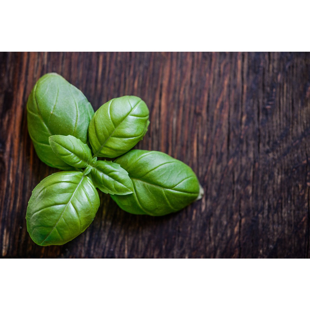 Pesto basil & pistachios | 180g