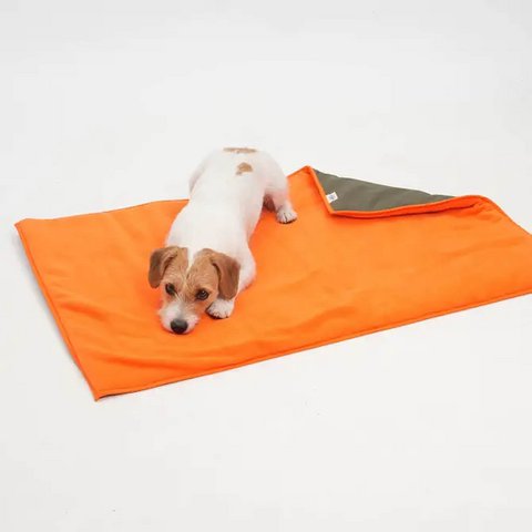 Reisematte Travel Mat Picknicker dunkelgrün orange