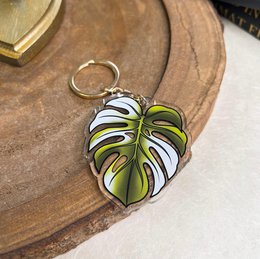 Monstera Variegata