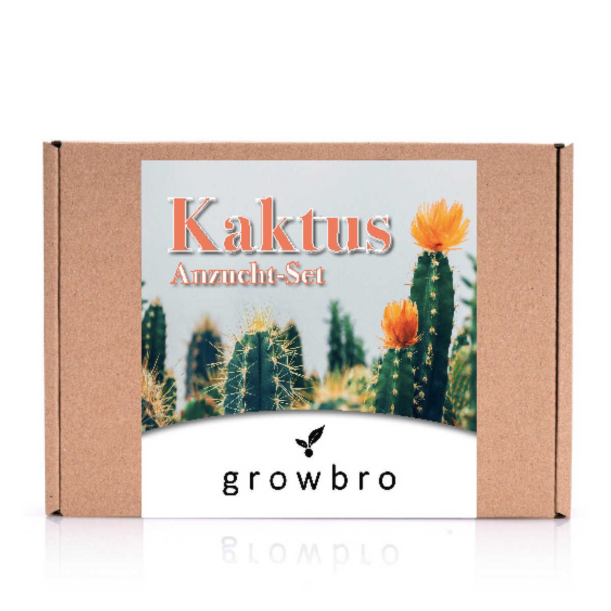 growbro| Set per la coltivazione di cactus con flacone spray | IL REGALO DI CACTUS per donne e uomini %23 regalo di semi %23 regalo di semi per gli ospiti %23 cactus