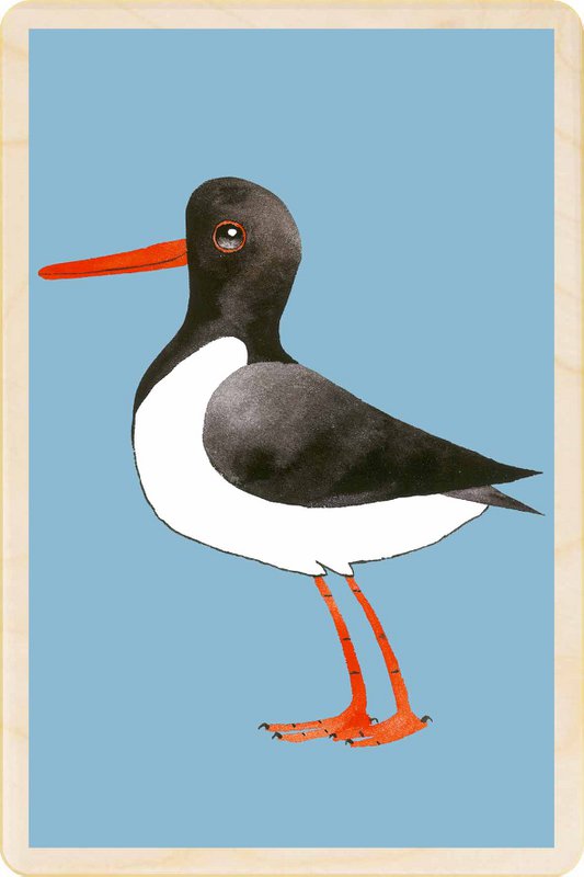 OYSTERCATCHER Duurzame houten kaart