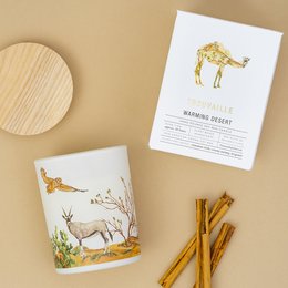 Save the Planet Scented Soy Wax Candle | Warming Desert
