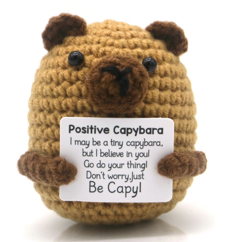 R-N6.2 T2405-336 Knitted Positive Capybara 7cm