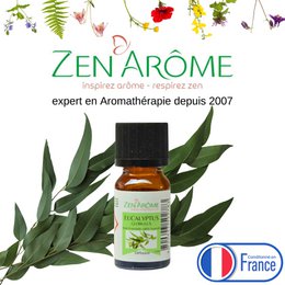 Etherische olie - Eucalyptus - 10 ml - Gebruik voor diffusie - Verpakt in Frankrijk