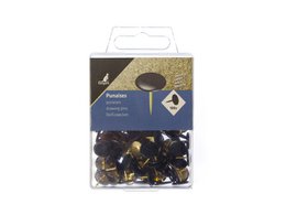 Chinchetas Kangaro tapa negra latón caja plástico 100uds