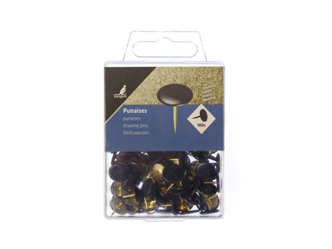 Thumbtacks Kangaro black cap brass plastic box 100 pcs
