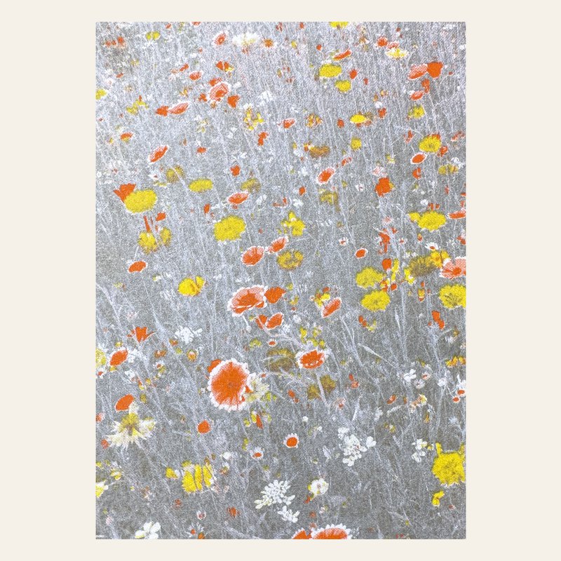 Risography postcard - flower meadow orange - DIN A6
