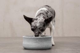 ROCKY - elegant skål til hunde og katte