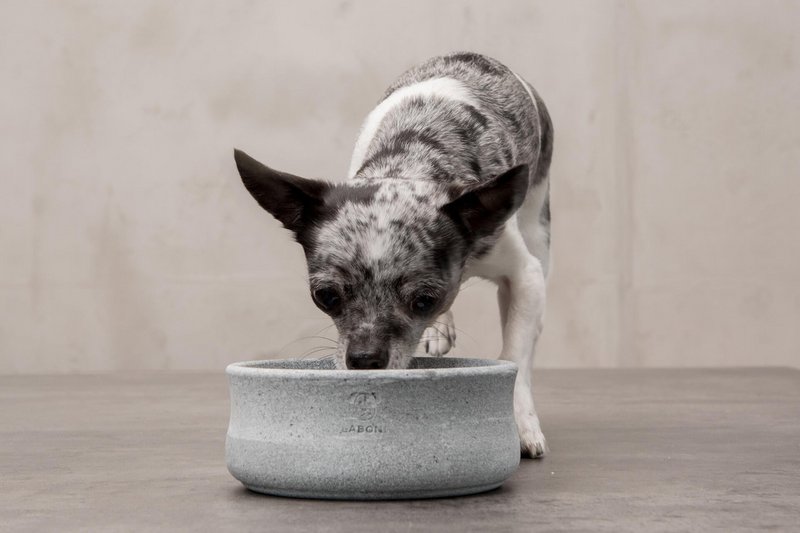 ROCKY - elegant skål til hunde og katte