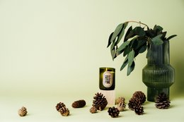 Świeca z wosku sojowego Norwegian Mist & Forest Pine - zielone szkło