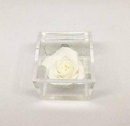 A decorative glass bowl containing a single white rose. The bowl has a square shape with a clear glass exterior, showcasing the delicate flower inside.
