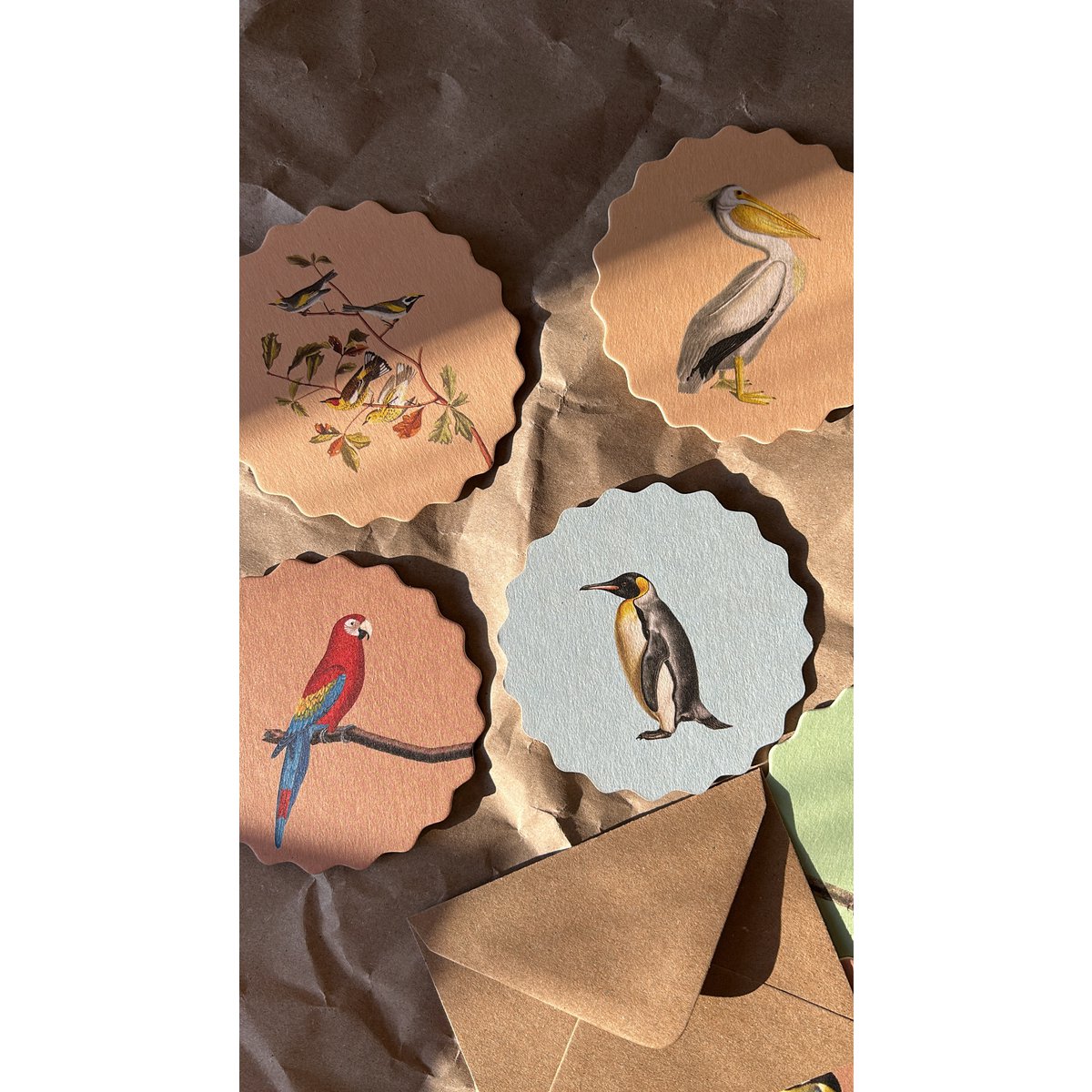 Posavasos/Posavasos 10 motivos pájaros - 12 juegos