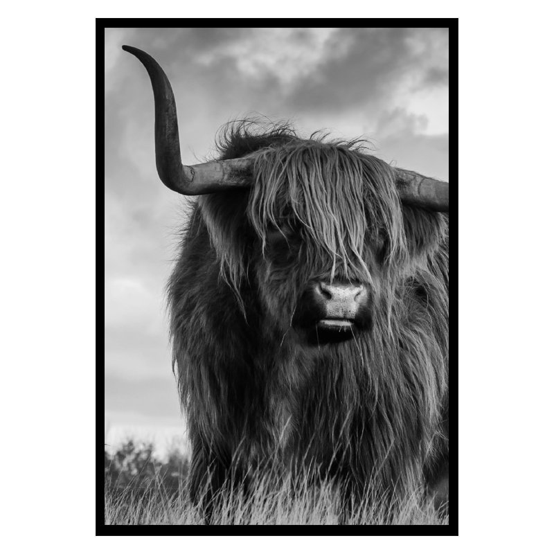 Highlander plakat