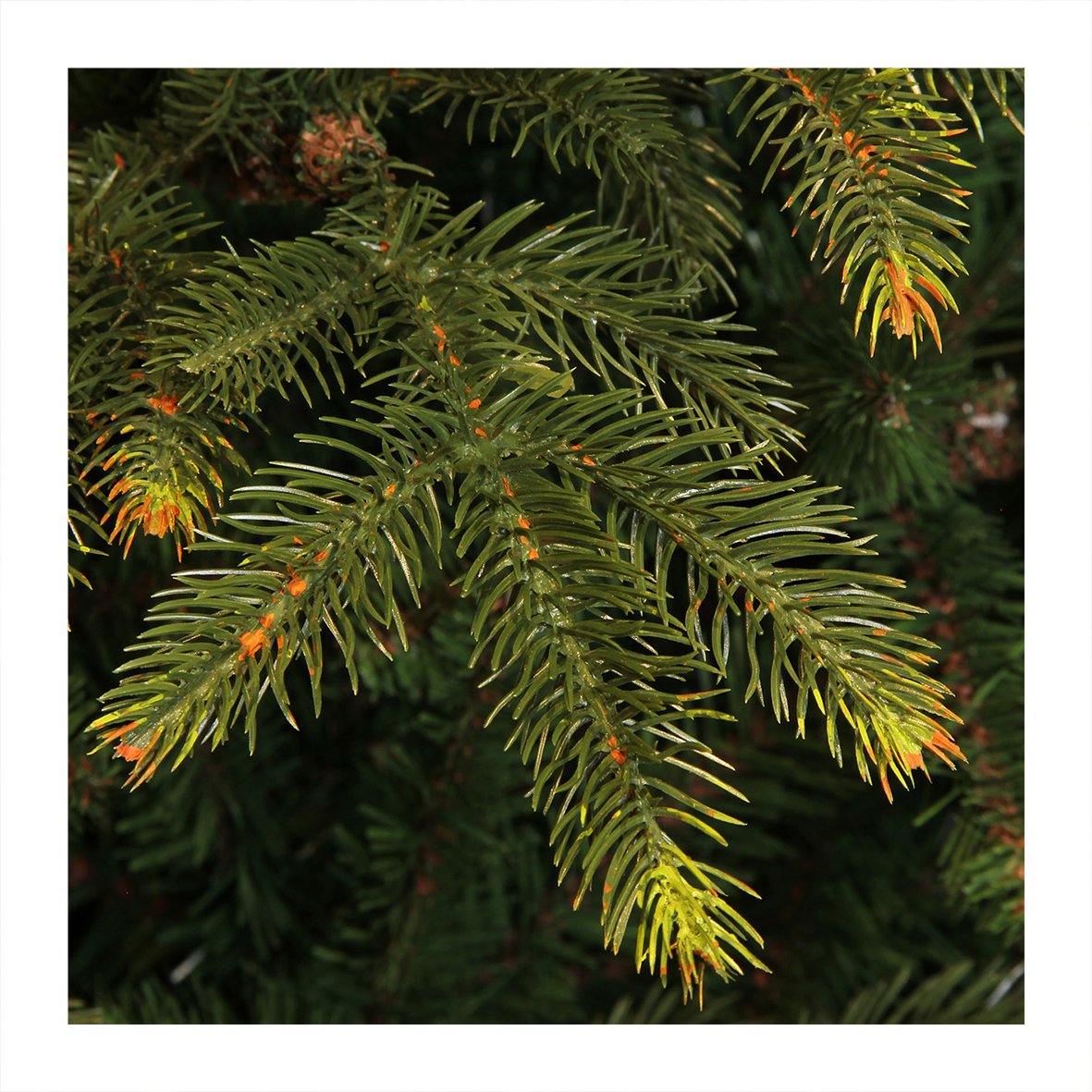 Árbol de Navidad artificial Vancouver - Al. 215 x Ø 145 cm - Verde