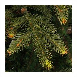 Albero di Natale artificiale Vancouver - H215 x Ø145 cm - Verde