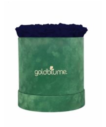 Velvet Green Collection