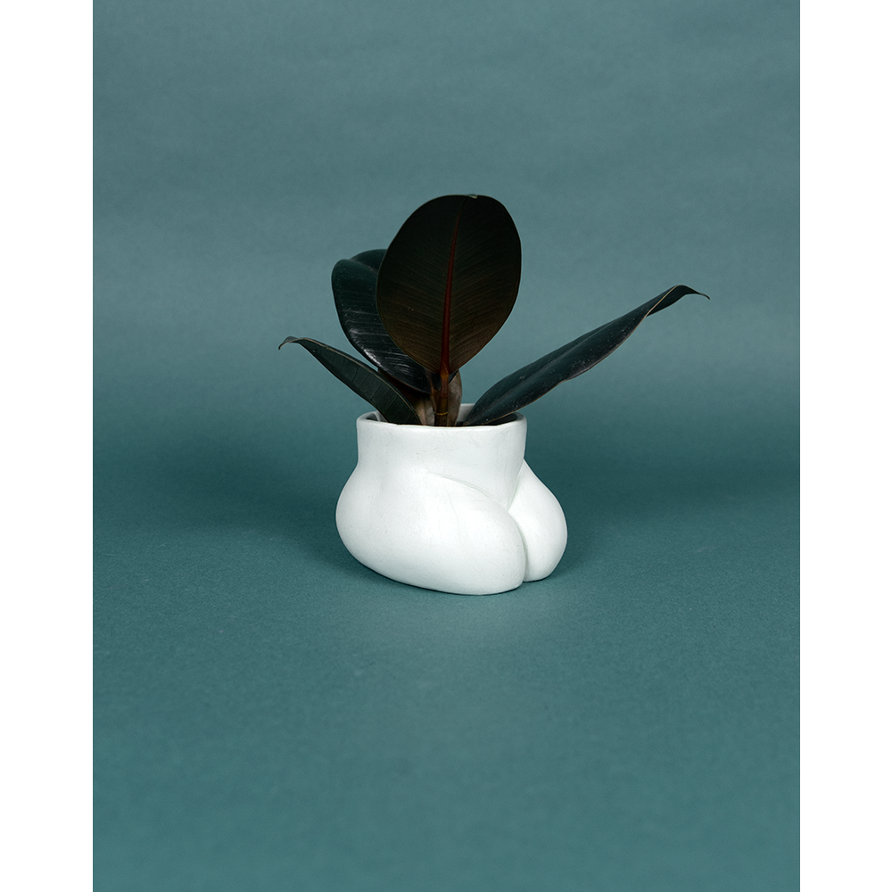 CACHE POT - MINI BUTTERFLY