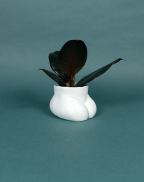 POT HIDE - MINI NALGAS