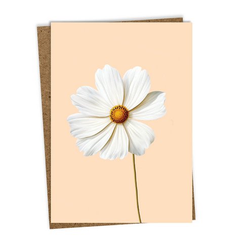 Wenskaart Leporello Cosmea