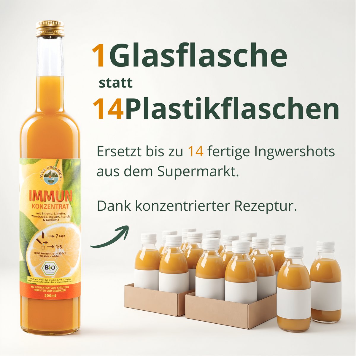 BIO Ingwer Konzentrat 500ml