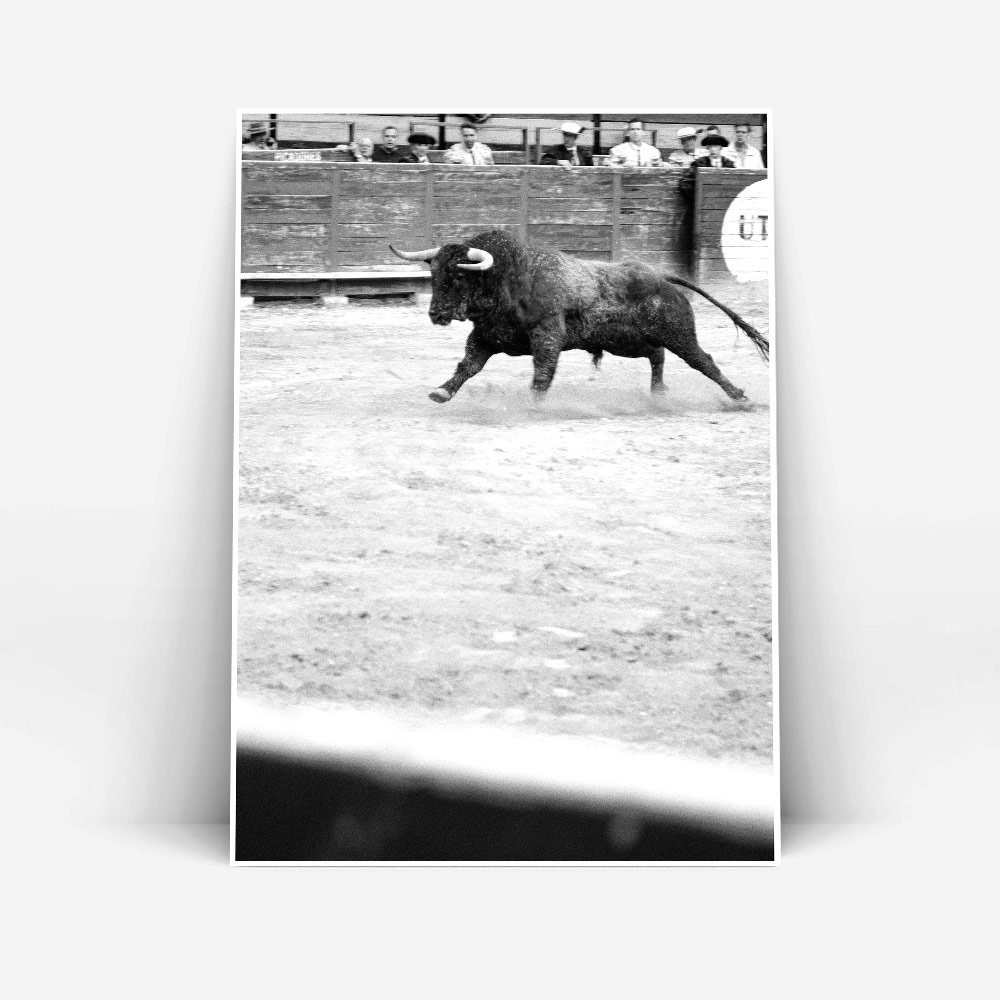 El toro