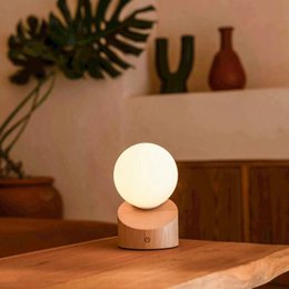 Morris lysebrun genopladelig lampe