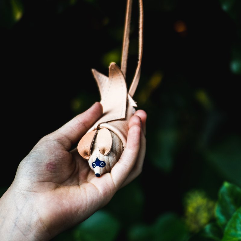 Sovende flagermus med stor ører