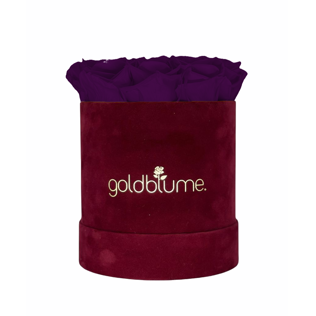 Collection Velours Bordeaux