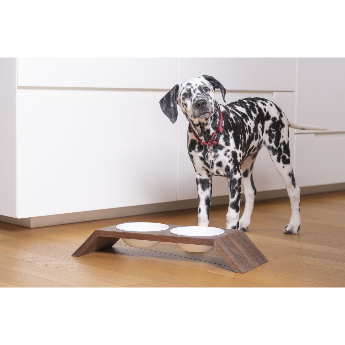 Hexagon 1/2, dog & cat feeding stand