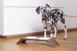 Hexagon 1/2, dog & cat feeding stand