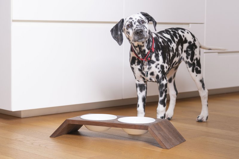 Hexagon 1/2, dog & cat feeding stand