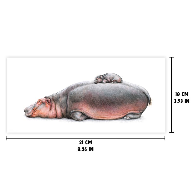 Flodhest - Baby lykønskningskort, 21 x 10 cm, Flodhest, Kort