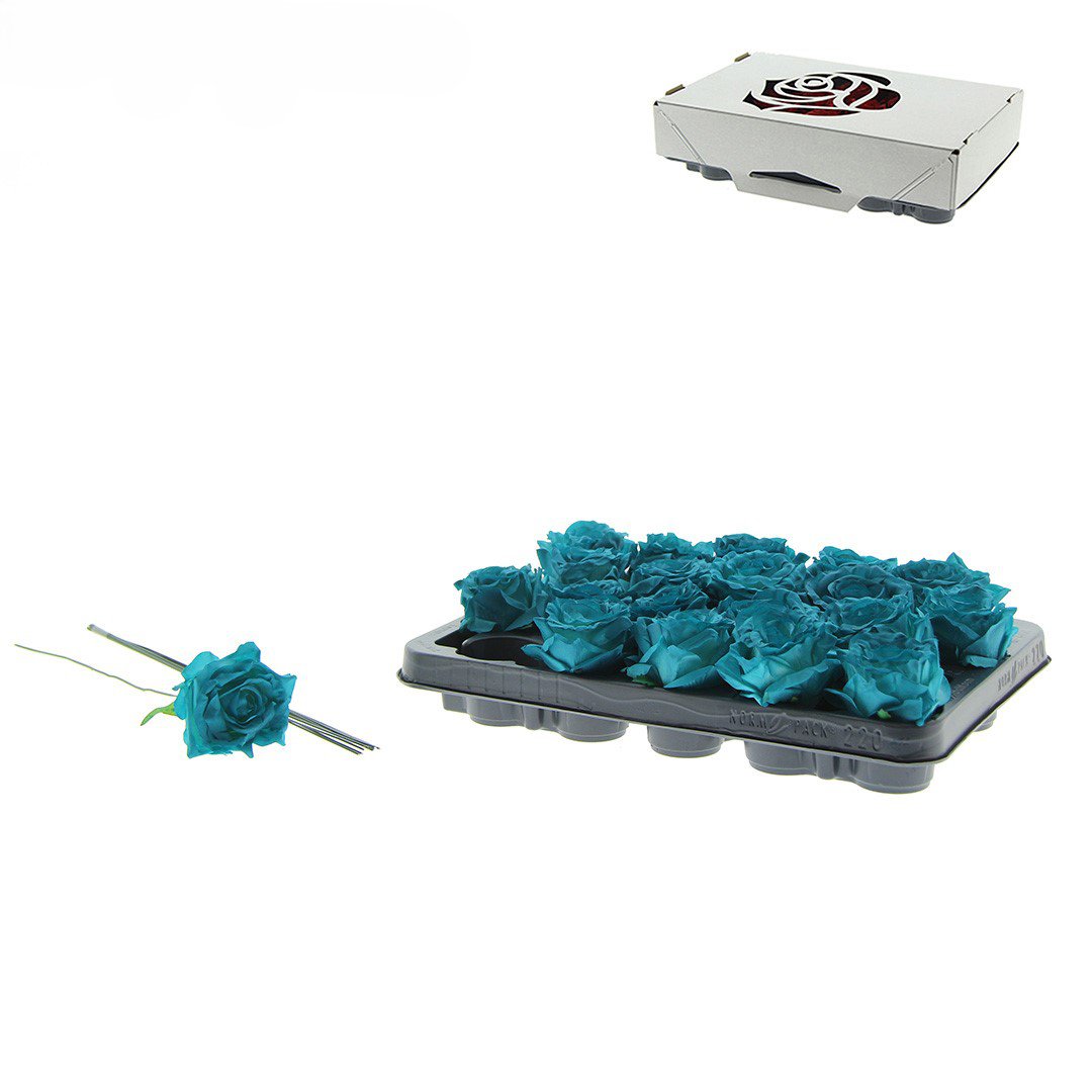 Rose Decooz® Silk - Aqua